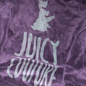 Juicy Velour Sweatshirt